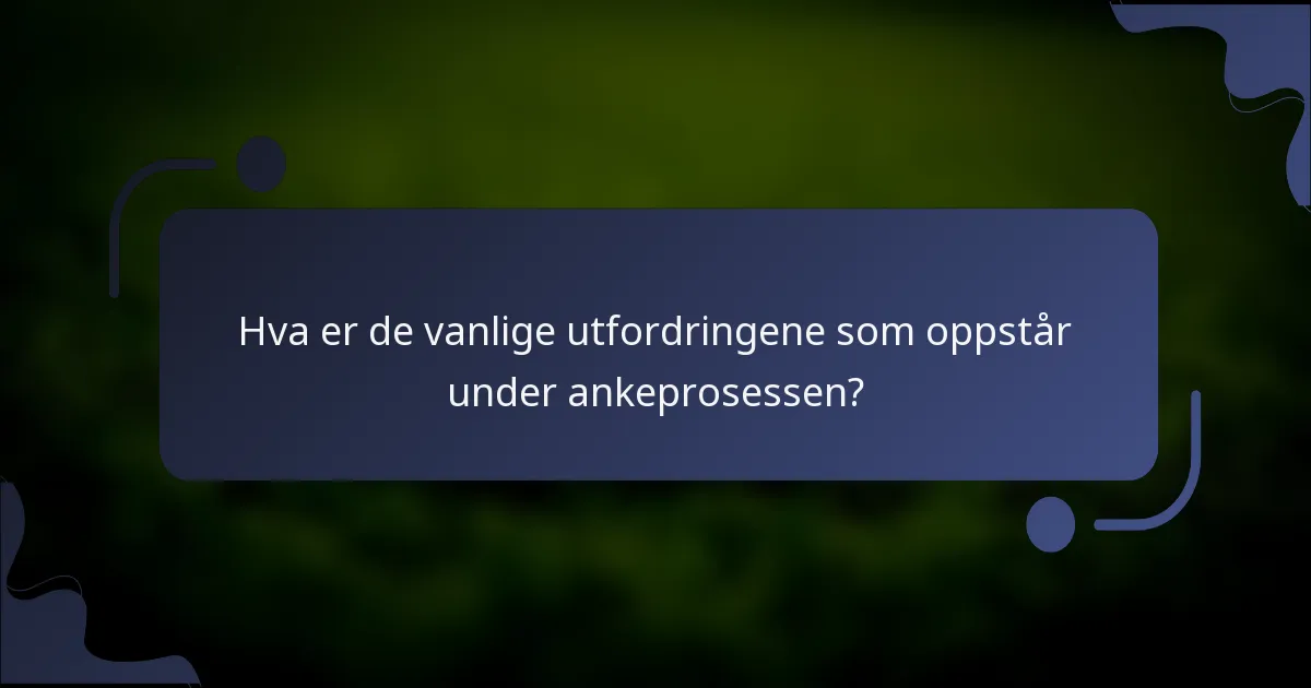 Hva er de vanlige utfordringene som oppstår under ankeprosessen?