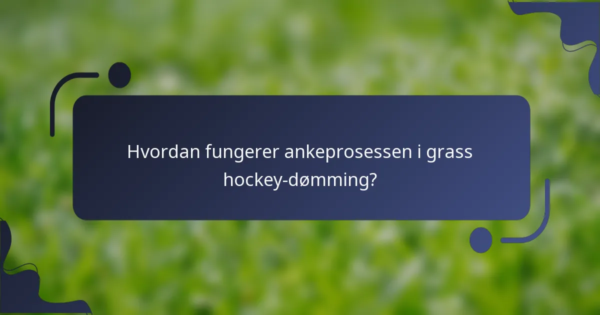Hvordan fungerer ankeprosessen i grass hockey-dømming?